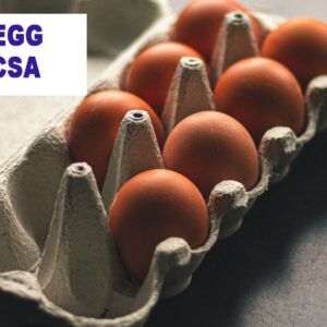 CSA - EGGS