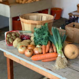 Bountiful Basket