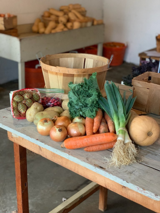 Bountiful Basket