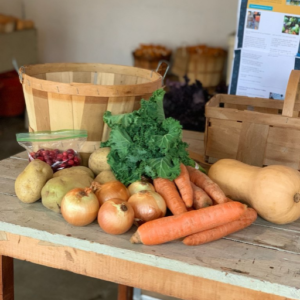 Basic Harvest Basket